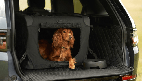 Dog sitting in a travel crate in the boot of a Discovery.