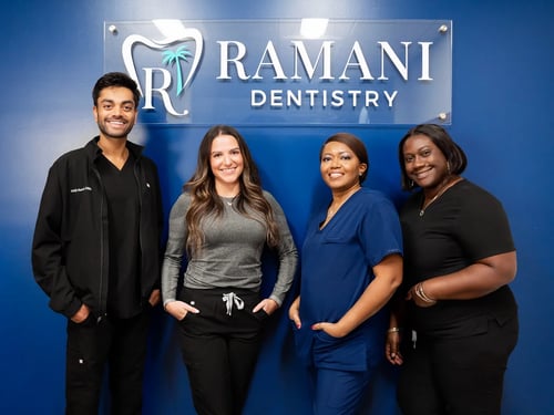 Meet the Team