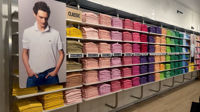 Polo Area