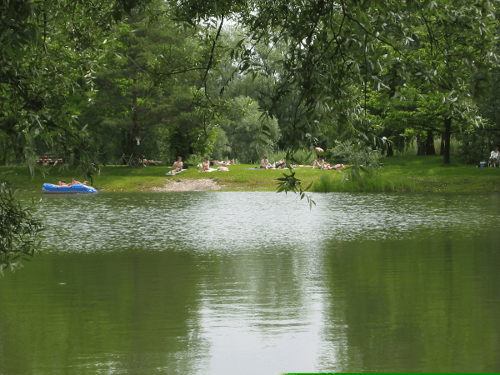 Fischerheim am Schleienloch 6971 Teich