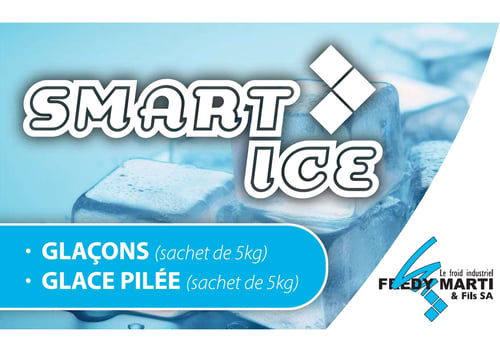 SMART ICE