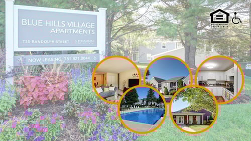 Google Cover Photo for Blue Hills Village