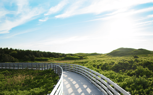 A scenic boardwalk through a green field with rolling hills in the background.