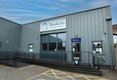 Plunketts Vets
