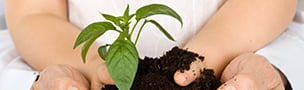Hands cupping soil with a small green plant emerging, symbolizing growth and nurturing. The background is softly blurred, conveying a sense of care and hope.
