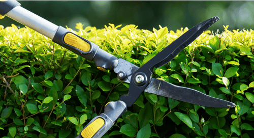 garden clippers