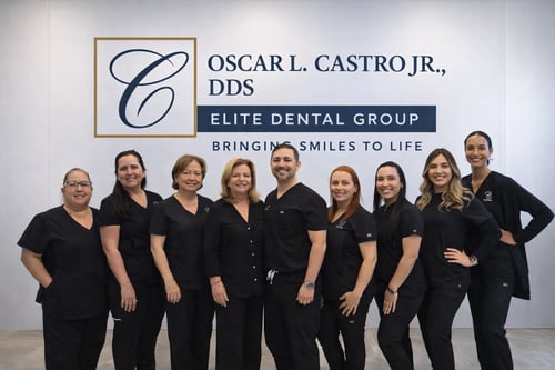 Meet the Team