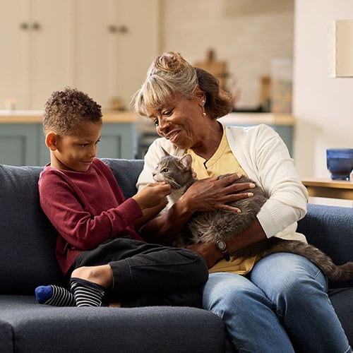 A Grandmother and grandson cuddles a cat on the couch.