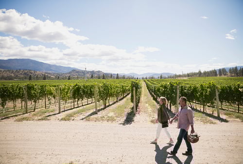 A couple walks hand in hand along a path beside a vineyard under a bright blue sky with scattered clouds. They are carrying a wicker basket, surrounded by lush green rows of grapevines and distant mountains.