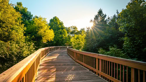 Walk, bike, and soak up the sun at Etowah River Park