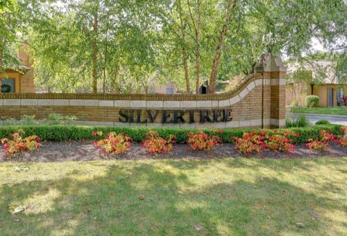 Silvertree - GMB Cover Photo