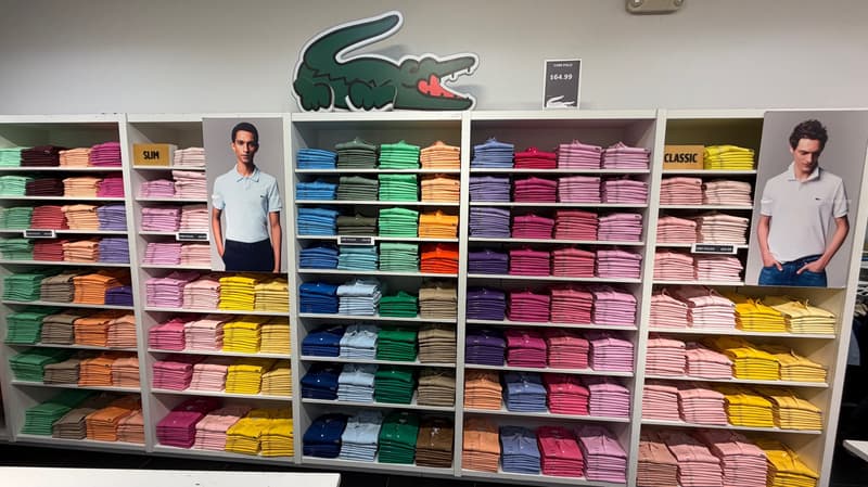 Polo Area