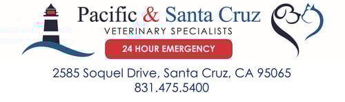 Pacific & Santa Cruz Veterinary Specialists