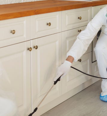 Pest Control Damage Restoration 1 Reno-Tahoe