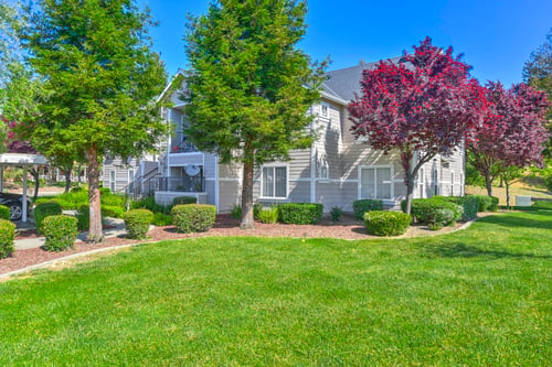 Fresh Green Garden at Bay Vista at Meadow Park Apartments, Novato, CA, 94949