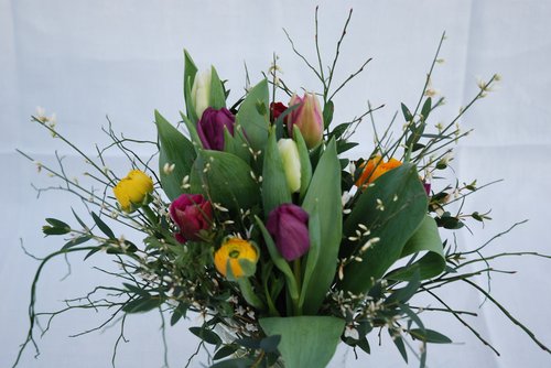 Frühlingsblumenstrauss
