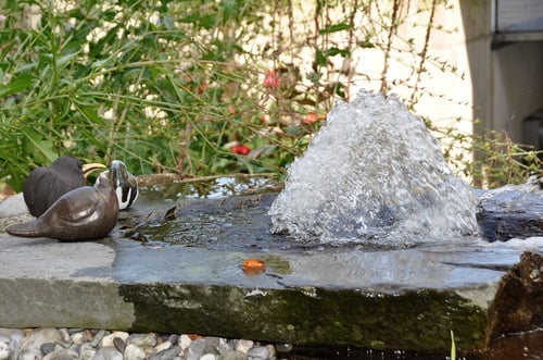 Alterspflegeheim Debora AG , Amriswil - Garten