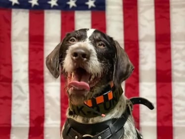 Winner: Merle from Fort Valley Fire Station in Fort Valley, VA