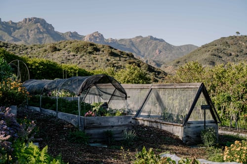 Regenerative Organic Certified® Garden