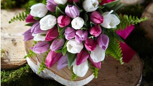 Selections for Every Occasion