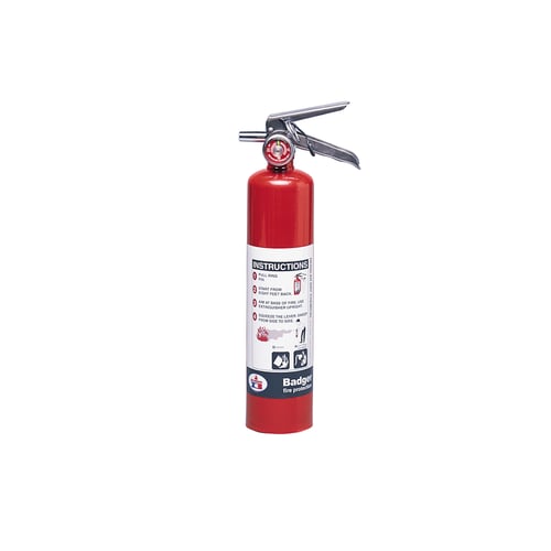 Regular Dry Chemical Fire Extinguisher