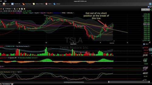 Training Stocks