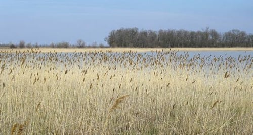 Schifffahrt Knoll 7141 Podersdorf am See