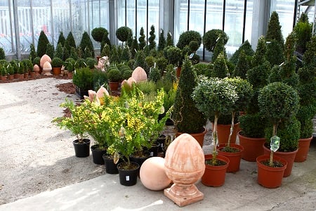 Gartenbau Schacherl GmbH