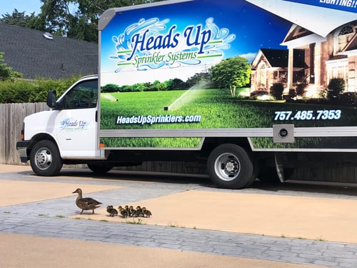 Heads Up Sprinkler Systems Truck with Family of Ducks