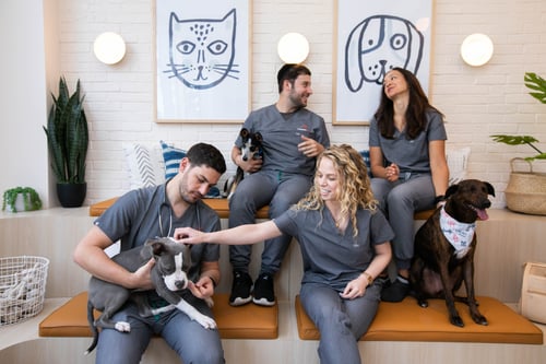 paramus bond vet  lobby staff friendly warm compassionate