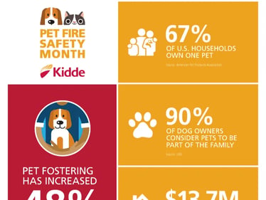 Pet Fire Safety Month Flyer