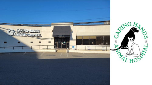 Welcome to Caring Hands Animal Hospital - Clarendon