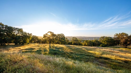 Sunrise at Ridgeline at Bickford