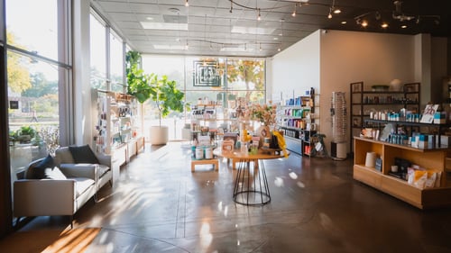 Bright, open Changes Salon & Day Spa retail space flooded with natural sunlight from floor-to-ceiling windows, featuring shelves neatly stocked with products from brands like R+Co, OWay, Kitsch, and more beauty and gifting selections, a large indoor fiddle-leaf fig plant, comfortable seating, and polished concrete floors.