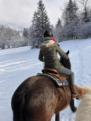 Lucky Horse Ranch in Thüringen